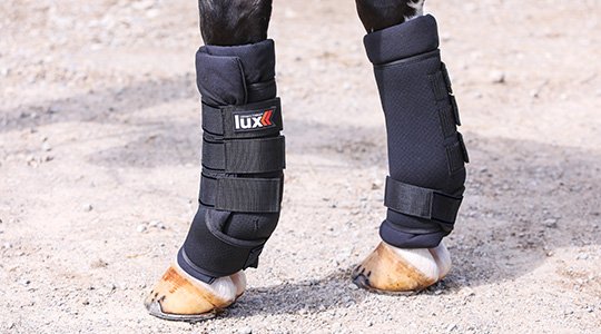 The Benefits of Ceramic Therapy in Horse Recovery and Performance