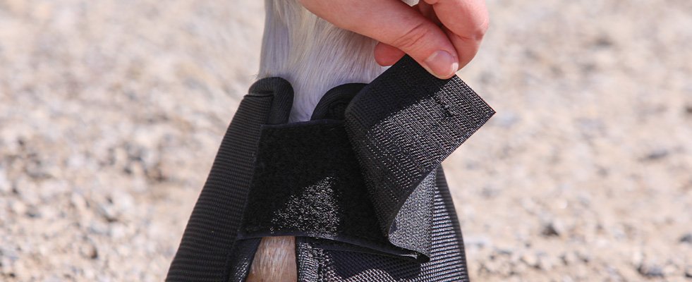 Using and Evaluating Ceramic Therapy Treatment