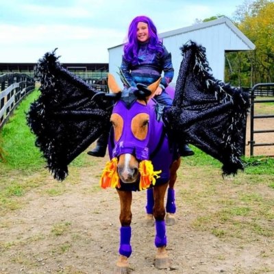 Horse Costume - Girl and Dragon