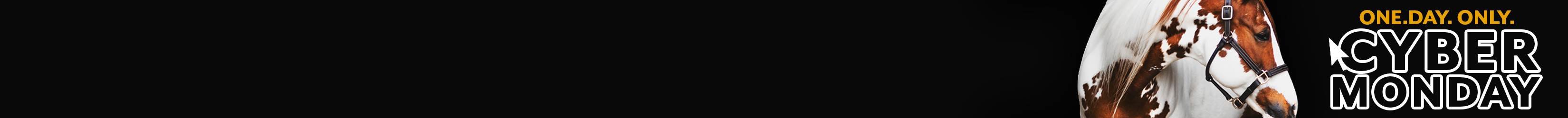 
<!-- AltImageNameForCategory -->
Stable Organizers - Sale!