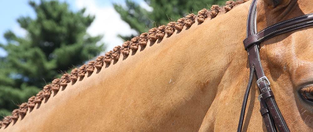 Getting Ready for a Horse Show - Play to your Strengths