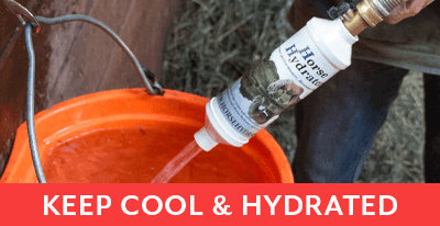 
<!-- AltImageNameForCategory -->
Marketing Test 4th Level Category - 1Featued Category