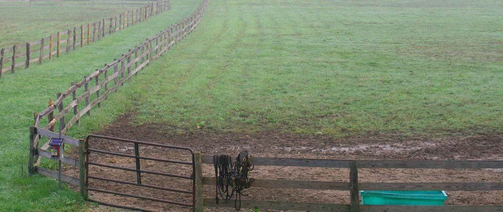 Muddy Pastures - Alternative footing in high traffic areas