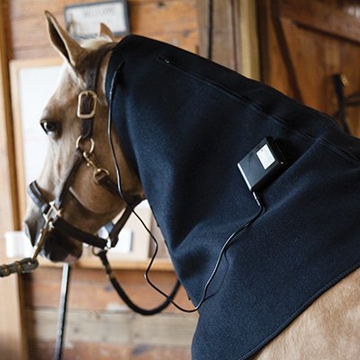 Schneiders EquiCare® LED Therapy Red Light Neck Wrap for Horses