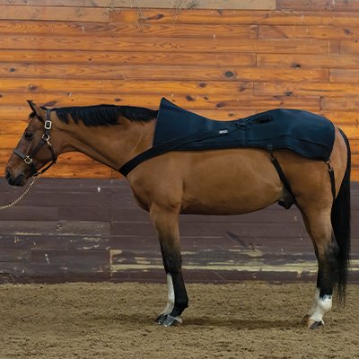 Schneiders EquiCare® LED Therapy Red Light Back and Hip Pad
