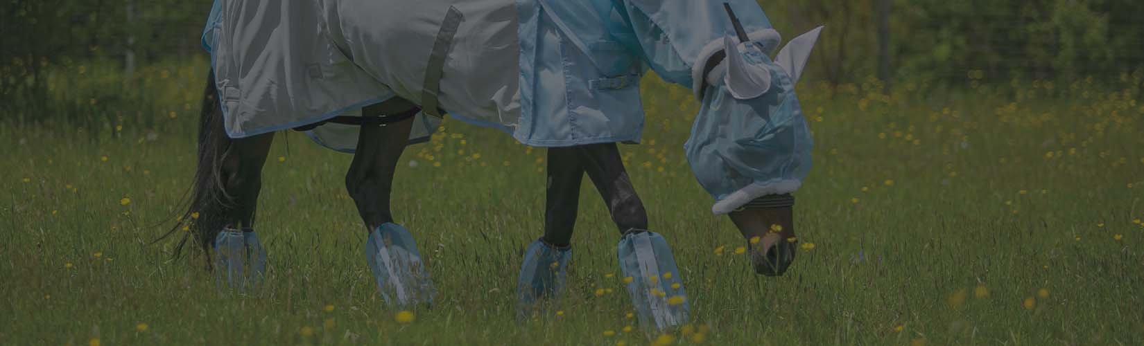 Your Guide to Prepare for Fly Season | Schneider's Blog