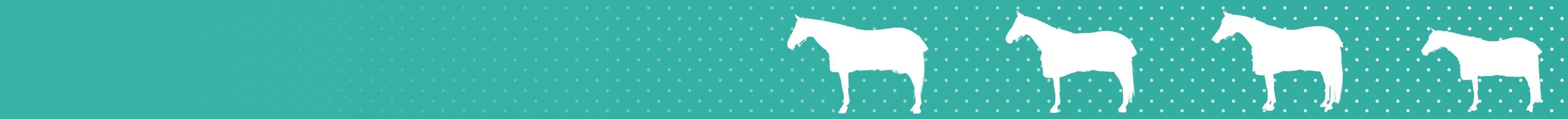 
<!-- AltImageNameForCategory -->
Horse Fly Sheets On Sale