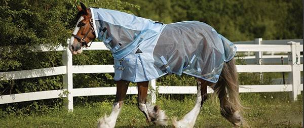 Specialty Fly Sheets - Draft Horse