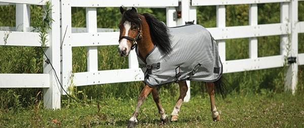Specialty Fly Sheets - Mini Horse