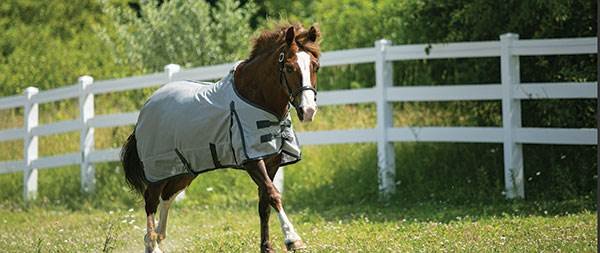 Specialty Fly Sheets - Pony