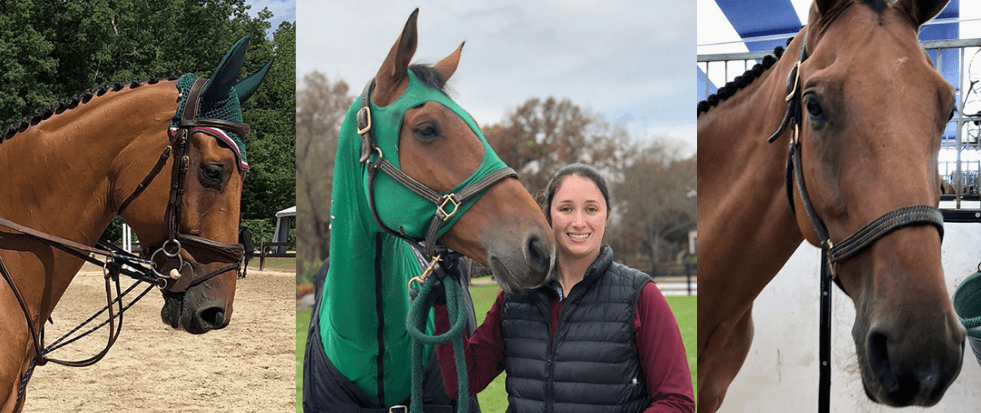 Sydney and Nico-Grooming Tips