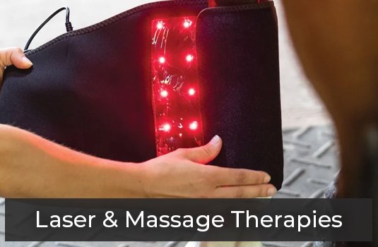 Laser & Massage Therapies