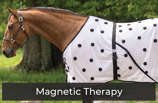 Magnetic Therapy