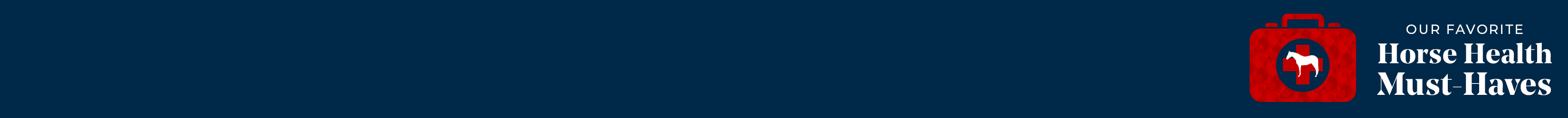 
<!-- AltImageNameForCategory -->
Winter Horse Health Must-Haves