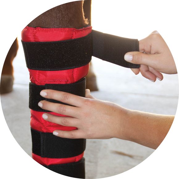 Cooling Wraps for Your Horse's Entire Leg