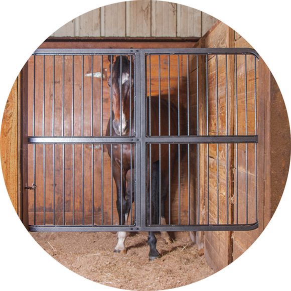 Tough, Versatile, and Built to Last