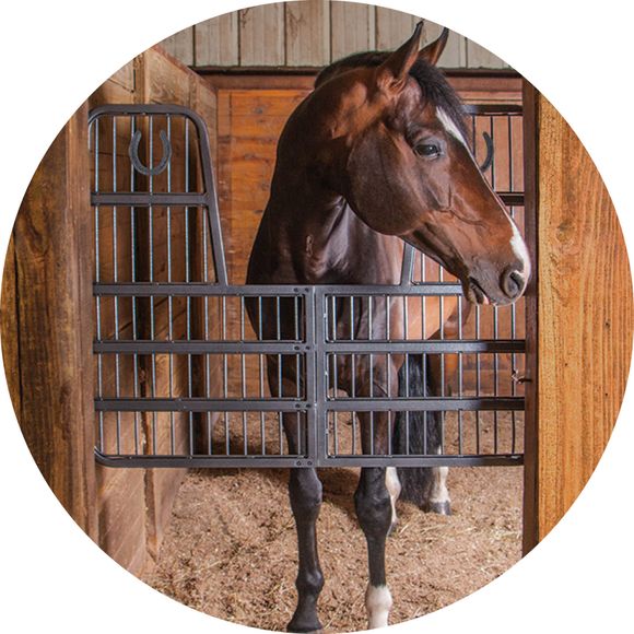 Where Durability Meets Barn Aesthetic