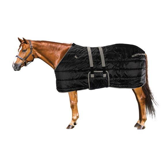 Affordable Bellyband