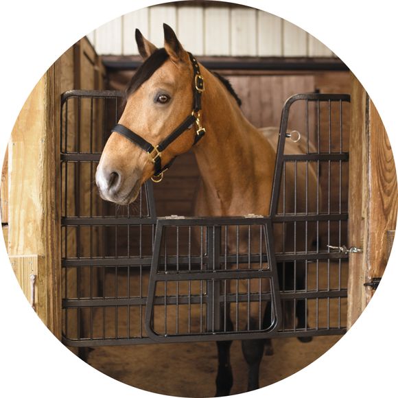 Durability Meets Stylish Stall Gate