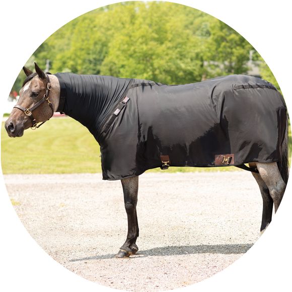 Groomed and Glossy, Without the Hassle