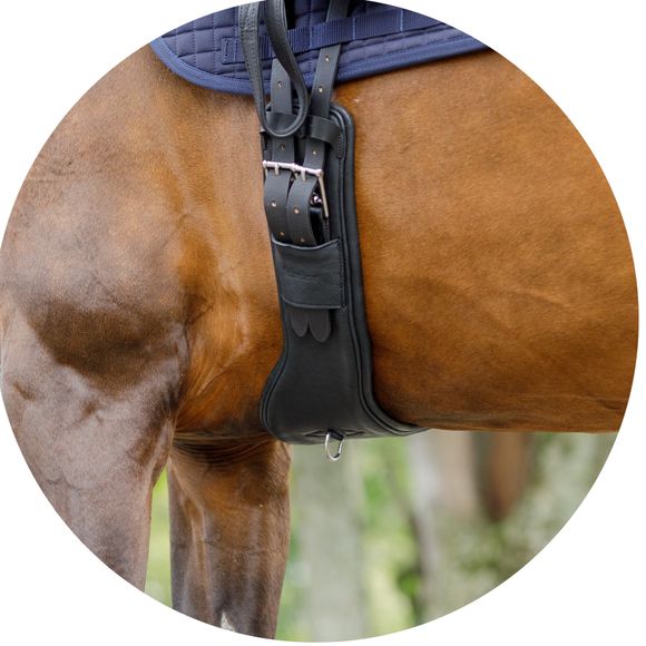 Freer Shoulders, Smoother Rides