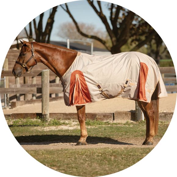 Lightweight Waterproof Sheet for Mild Climates