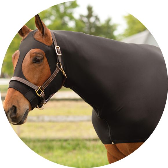 Cozy Coverage Meets Sleek Style