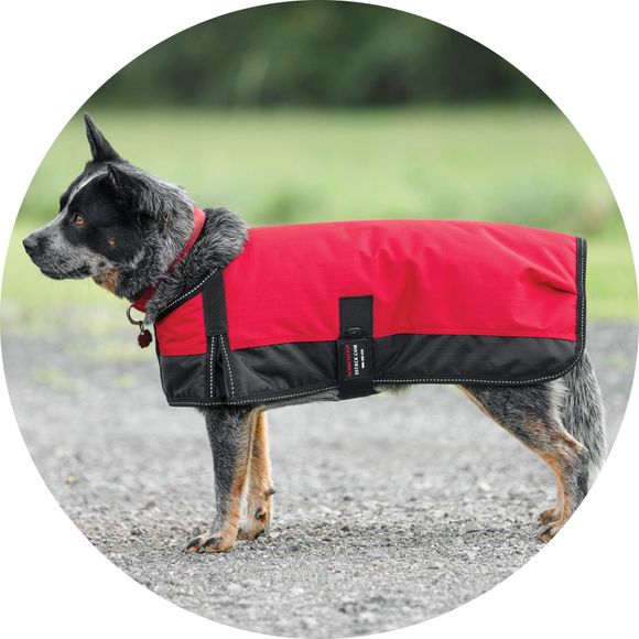 Durable Coverage for Rainy Days