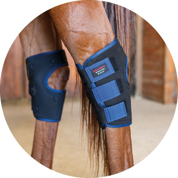 Targeted Therapy for Achy Hocks