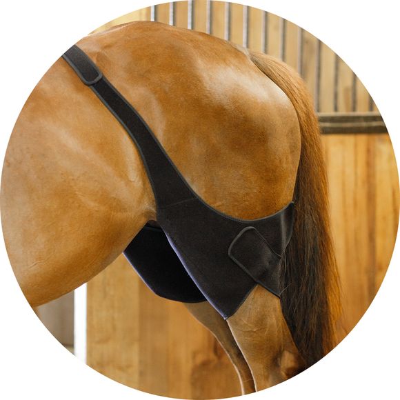 Dual-Action Relief for Hardworking Stifles