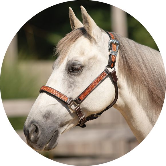 Ranching in Comfort and Style