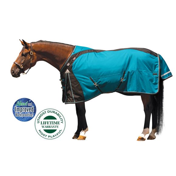 The Blanket of a Lifetime for the Horse That Plays Hard