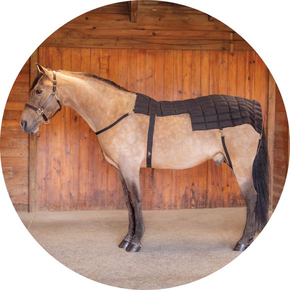 Full-Coverage Cooling for Sore Backs and Hips