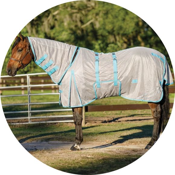 Keep It Cool From Ears to Tail