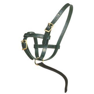 Premier Leather Foal Halter - Newbornimage