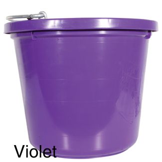 10758_violet.jpg
