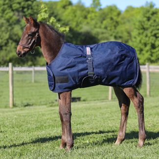 StormShield® Expandable Foal Turnout - 38" - 45"image