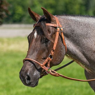 Weaver Leather-headstalls-info – Outlaw Outfitters