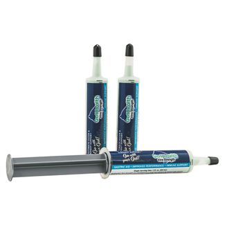 GUT HEALTH EZ-XTRA GEL TUBEimage