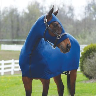 Sleazy Sleepwear™ Solid Full Body Slickerimage