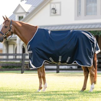 Amigo® Bravo 12 Original Turnout Sheetimage