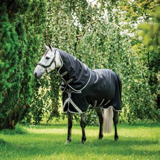 Amigo® Bravo 12 Plus Heavyweight Turnout Blanketimage