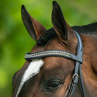 Browbands for Horses: Stylish, Durable, and Comfortable Choices