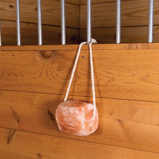 Himalayan Horse Salt Lick on a Rope 6.6lbsimage