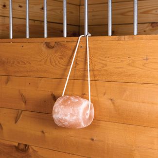 Himalayan Horse Salt Lick on a Rope 11 lbs