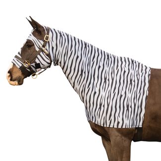 44621_zebra.jpg
