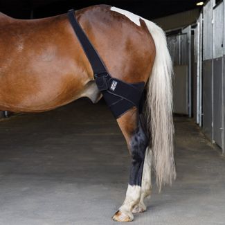 Schneiders® EquiCare LED Therapy® Red Light Stifle Wrap