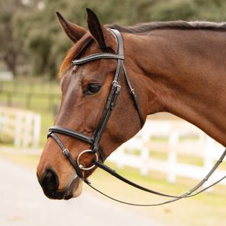 Schneiders Signature Buckle Noseband Dressage Bridle with Flashimage