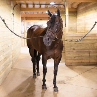 Schneiders® No Chew Adjustable Nylon Cross Tie - 48 to 72Limage