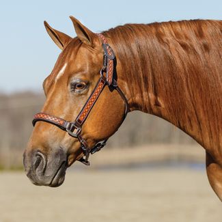 Double S Tooled Diamond Leather Ranch Halterimage